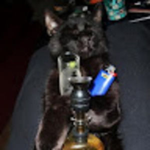 Meet your Posher, Jenika